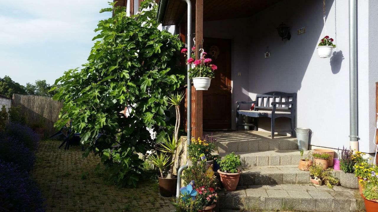 Апартаменты Urlaub Im Elsass Artolsheim Экстерьер фото